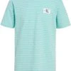 Calvin Klein Boys' Short Sleeve Stripe Crew Neck | Shirts & Tops