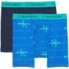 Calvin Klein Kids 2-Pack Boxer Brief (Little Kids/Big Kids) | Underwear