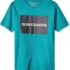 Calvin Klein Boys' Institution Logo Crew Neck Tee Shirt | Shirts & Tops